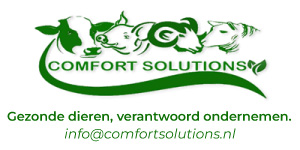 Comfort Solutions_Banner _1_